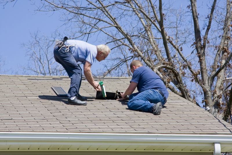 Professional Shingle Repair